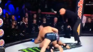 MMA - Brutalni Fedor za 48 sekundi razbio protivnika! (VIDEO)